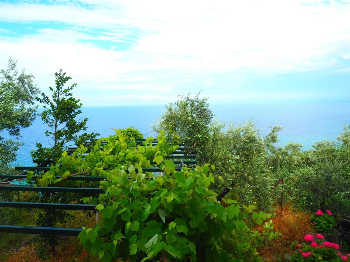 Felitsia Apartments & Studios Agios Ioannis  Bagian luar foto