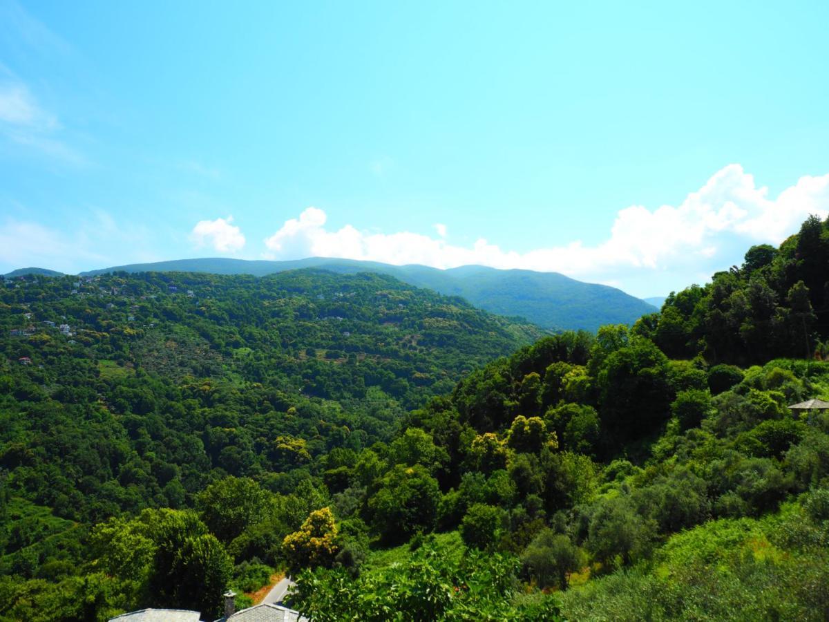 Felitsia Apartments & Studios Agios Ioannis  Bagian luar foto