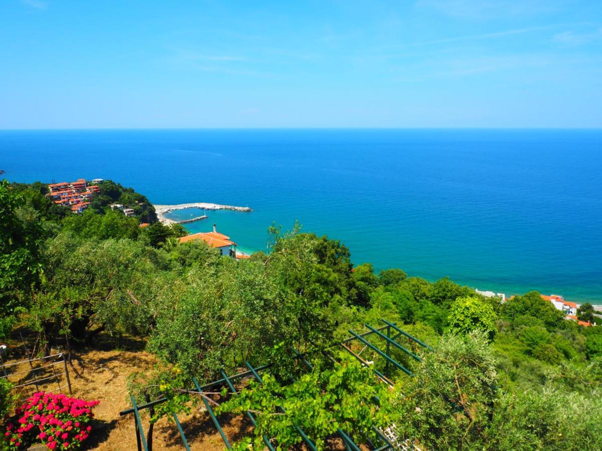 Felitsia Apartments & Studios Agios Ioannis  Bagian luar foto