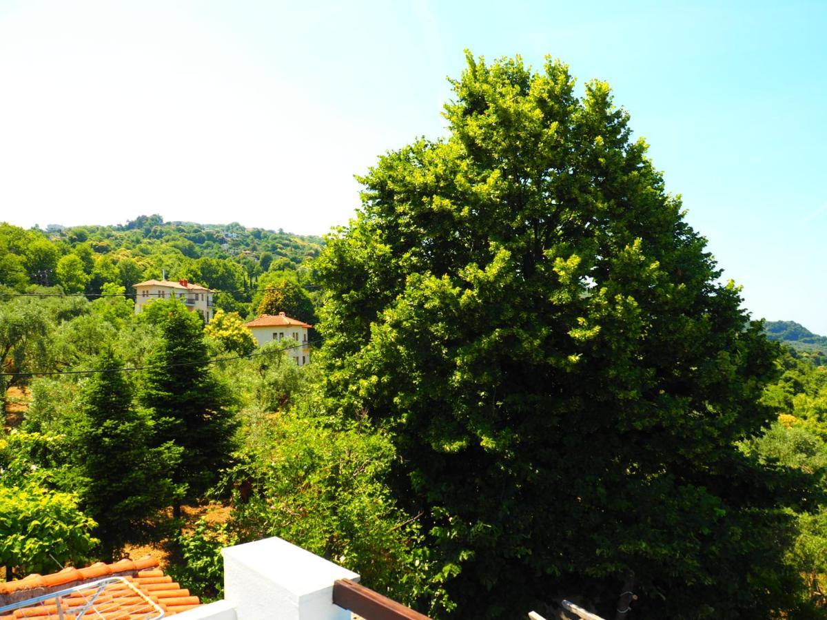 Felitsia Apartments & Studios Agios Ioannis  Bagian luar foto