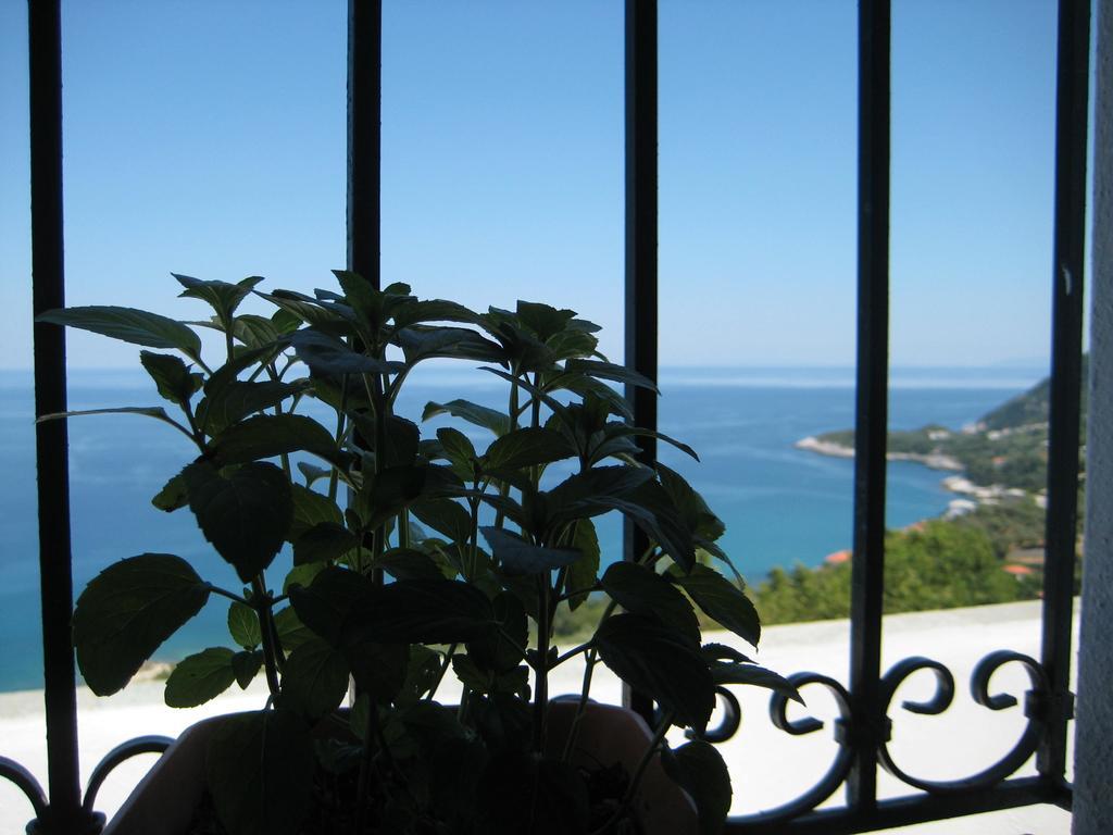 Felitsia Apartments & Studios Agios Ioannis  Bagian luar foto